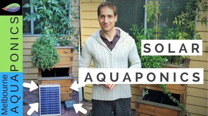 Solar aquaponics