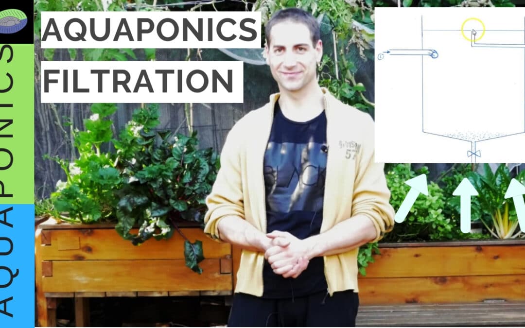 Aquaponics filtration, your illustrated guide