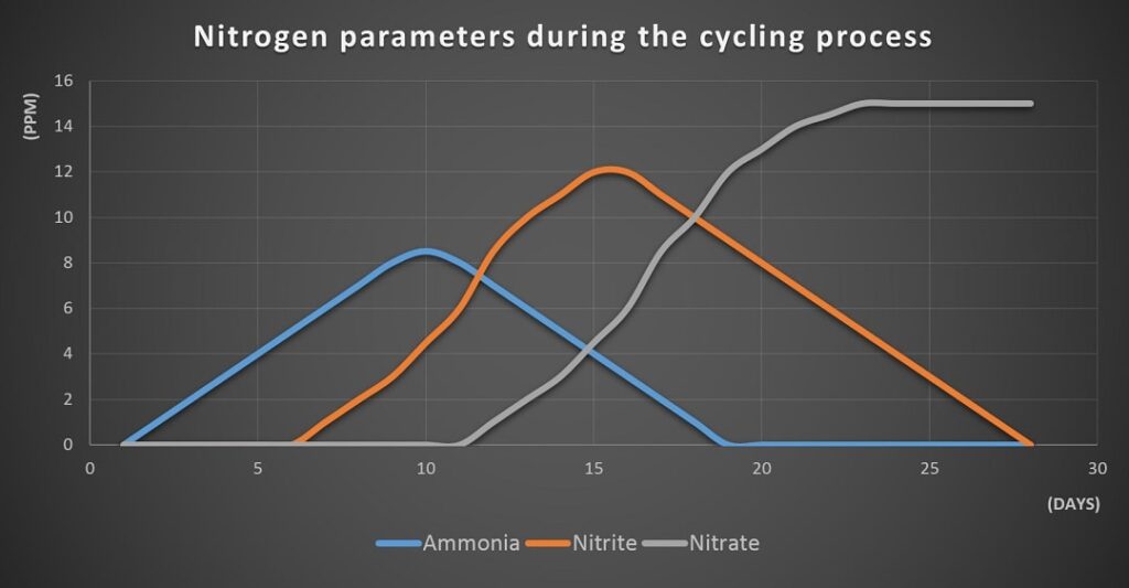 Nitrogen concentration during aquaponics cycling