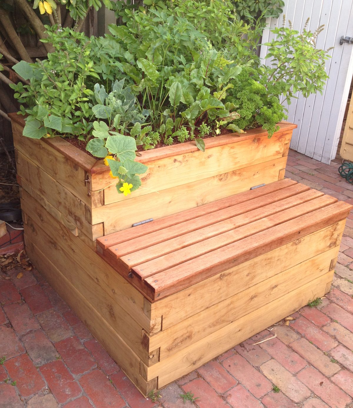 Tomato plant growing in an Ecoflex aquaponics grow bed