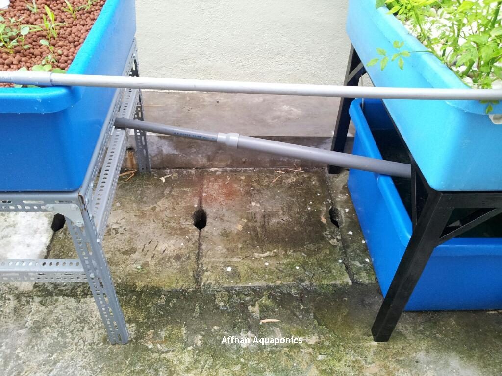 IBC aquaponics system showing common water quality challenges