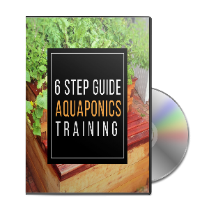 6 Step Aquaponics Training Guide