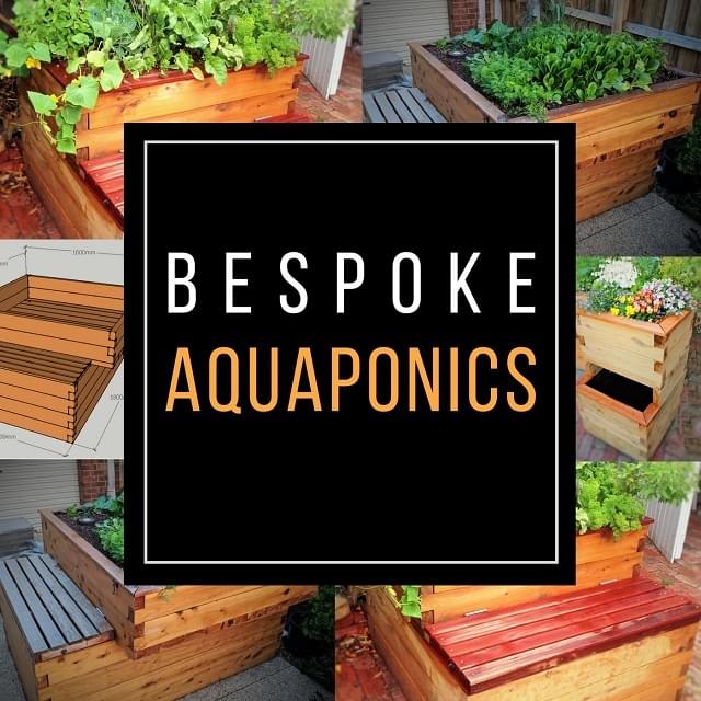 Aquaponics training course visual with fish and plants in a natural system