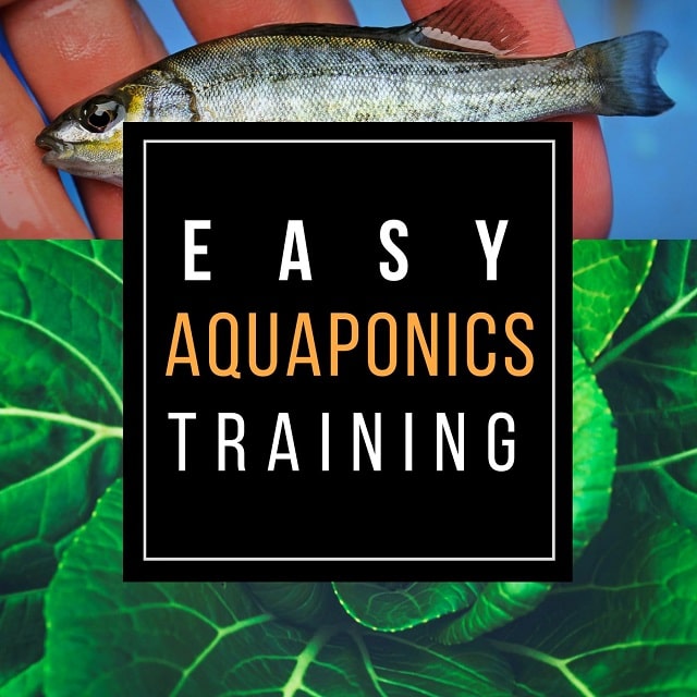 Easy Aquaponics Training