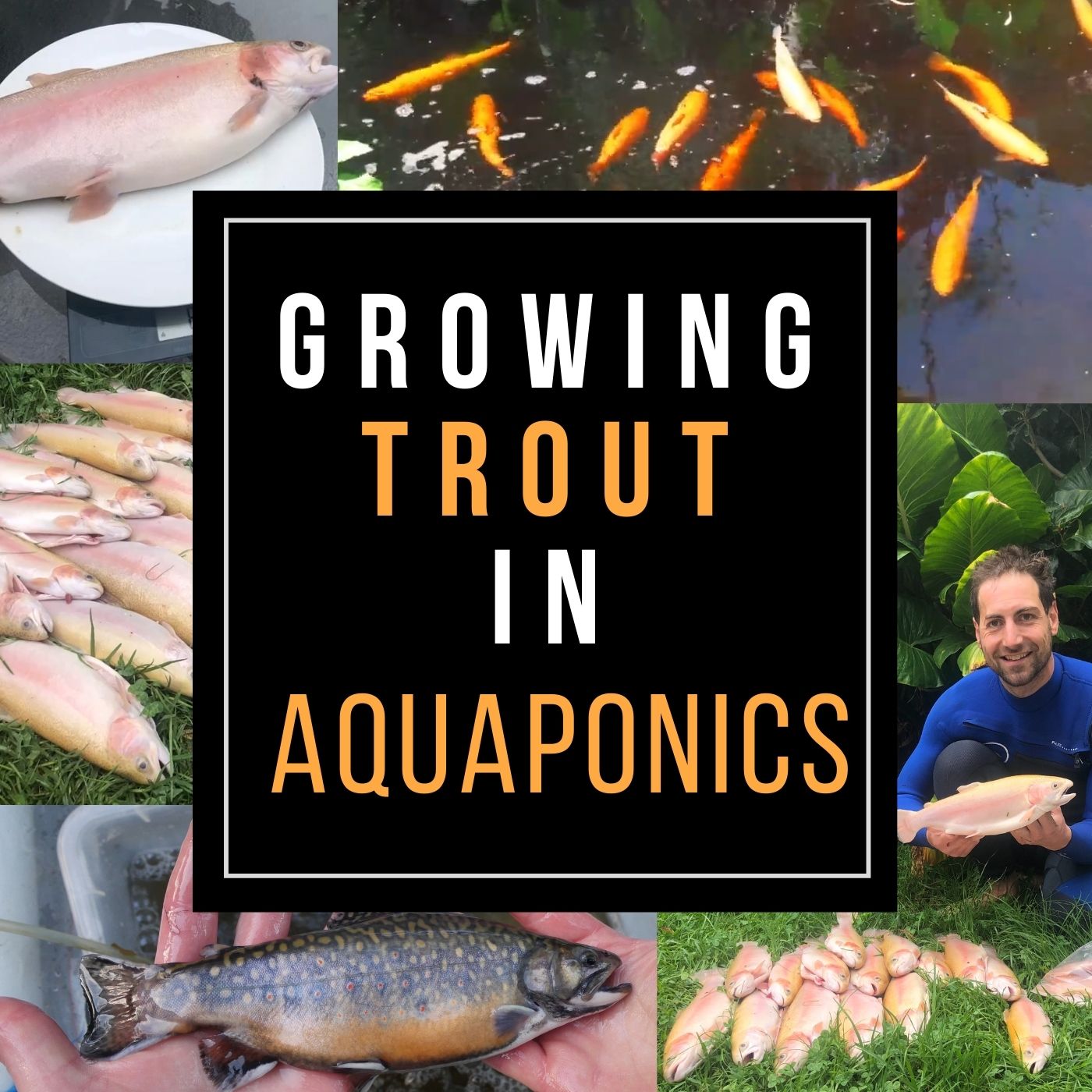 Growing Trout Training